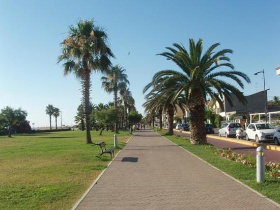 شقة La Conchiglia Porto SantʼElpidio المظهر الخارجي الصورة
